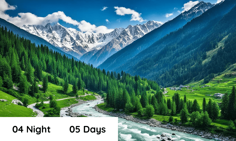 04N 05D KASHMIR