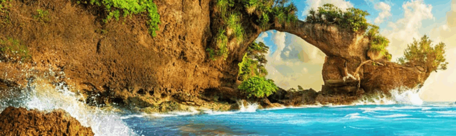 Andaman DTNA
