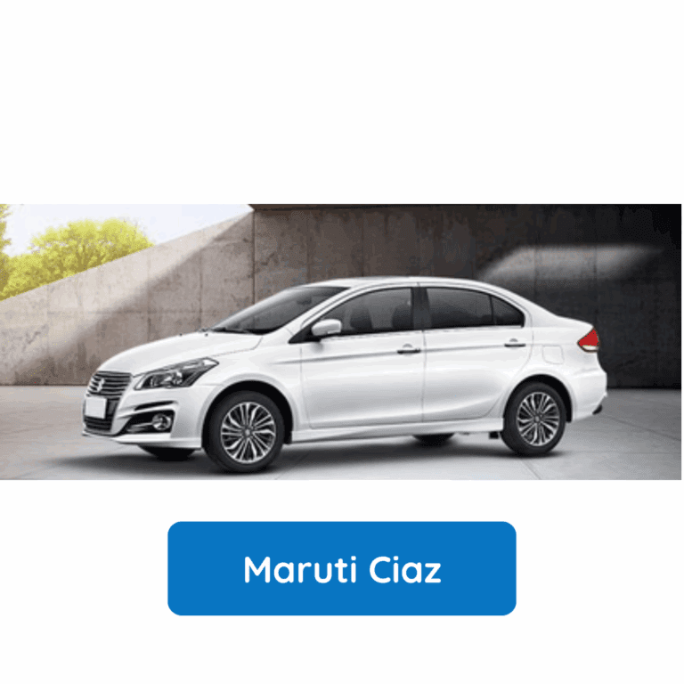 NEW CIAZ