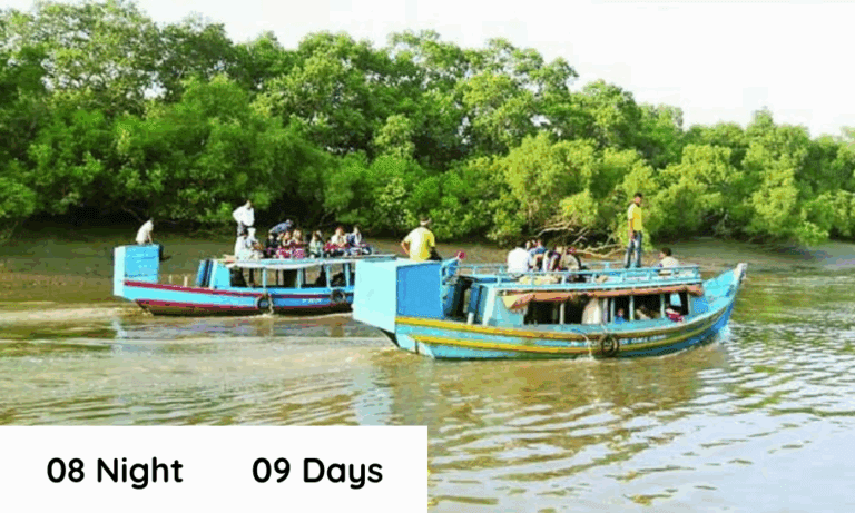 ODISHA 8N