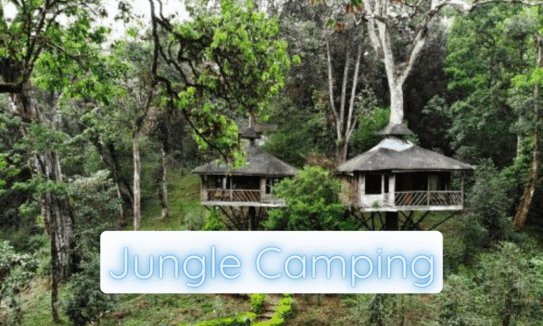 Jungle Camping
